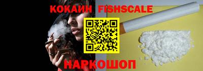 индика Ирбит