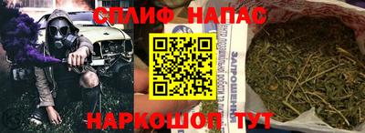 индика Ирбит