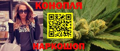 индика Ирбит