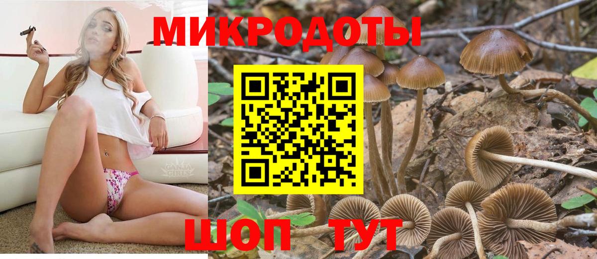 Псилоцибиновые грибы MAGIC MUSHROOMS Валуйки