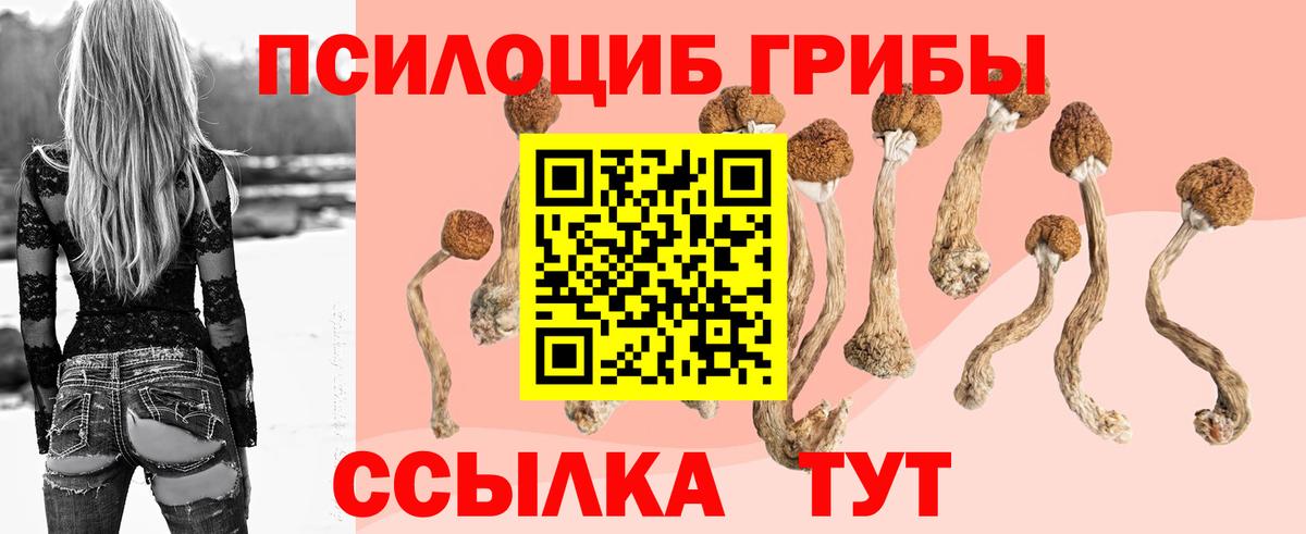 Псилоцибиновые грибы GOLDEN TEACHER  Псилоцибиновые грибы мицелий  купить   Валуйки  Вход с VPN 